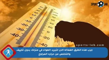 جرب هذه الطرق الفعالة الآن لتبريد الهواء في منزلك بدون تكييف والتخلص من حرارة المراوح